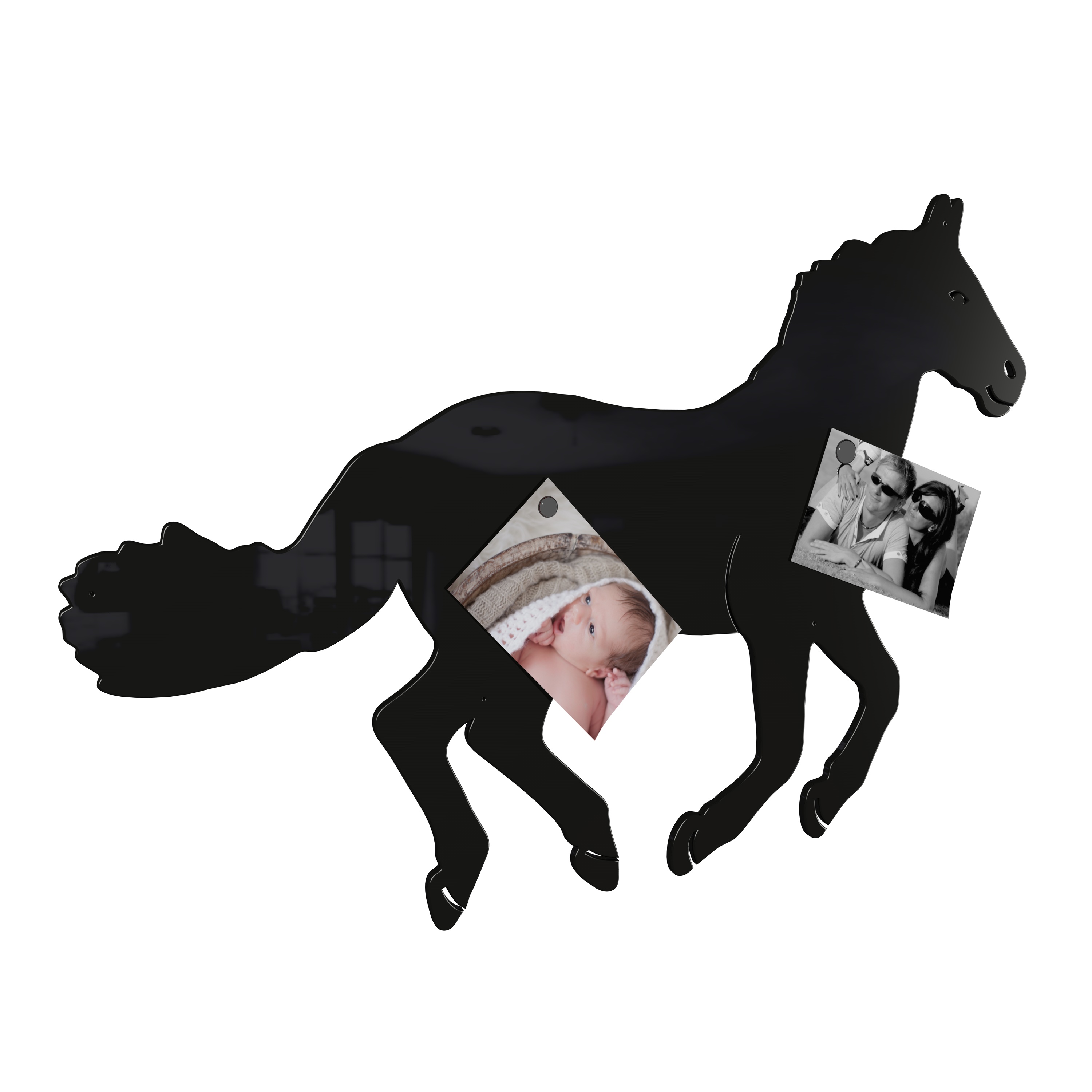 Magnetwand Magnettafel Memoboard - Pferd - RAL 9005 tiefschwarz schwarz